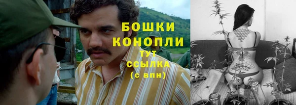 молекула духа Пересвет