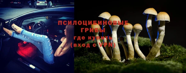 ГАЛЛЮЦИНОГЕННЫЕ ГРИБЫ Пестово
