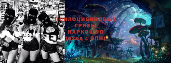 молекула духа Пересвет