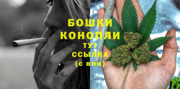 ГАЛЛЮЦИНОГЕННЫЕ ГРИБЫ Пестово