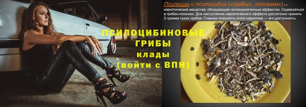 спиды Бородино