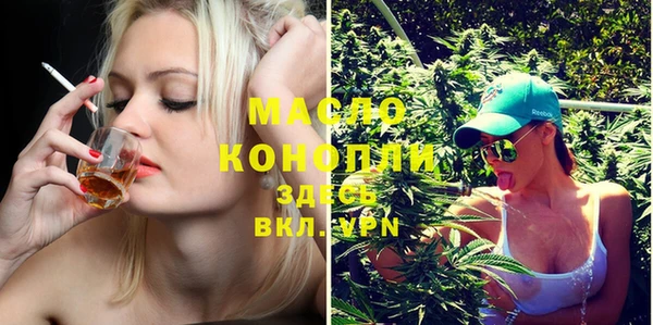молекула духа Пересвет