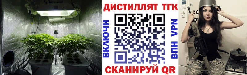 ТГК вейп  даркнет сайт  кракен ONION  Богданович 