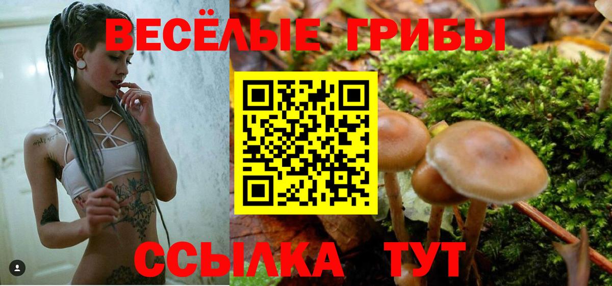 Псилоцибиновые грибы ЛСД  Вход с VPN  Богданович 