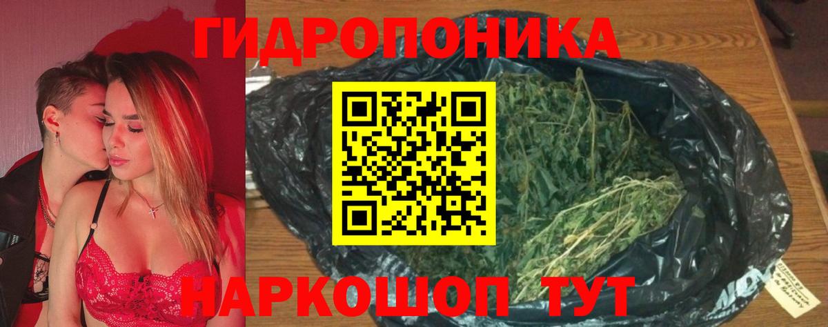 Конопля Ganja  Каннабис конопля  Богданович  Каннабис планчик  Вход с VPN 